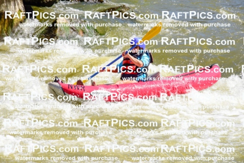 001484-July-9_NEW-WAVE_RAFT-Pics_Racecourse-AM_LA_FUNYAKS-ELIAS_LES7680