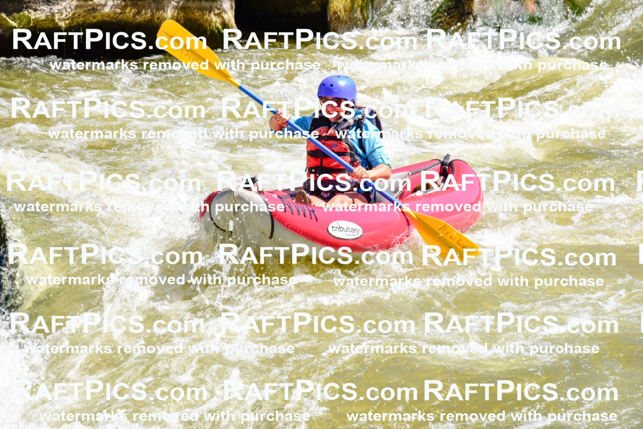 001488-July-9_NEW-WAVE_RAFT-Pics_Racecourse-AM_LA_FUNYAKS-ELIAS_LES7684