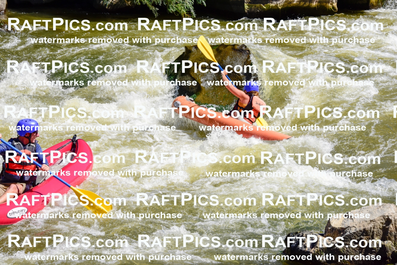 001511-July-9_NEW-WAVE_RAFT-Pics_Racecourse-AM_LA_FUNYAKS-ELIAS_LES7707