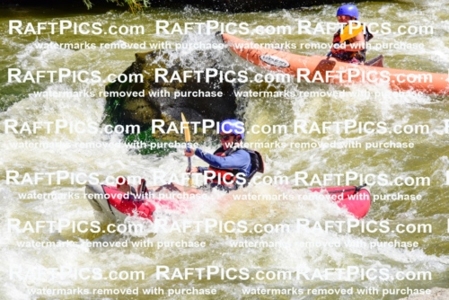 001505-July-9_NEW-WAVE_RAFT-Pics_Racecourse-AM_LA_FUNYAKS-ELIAS_LES7701