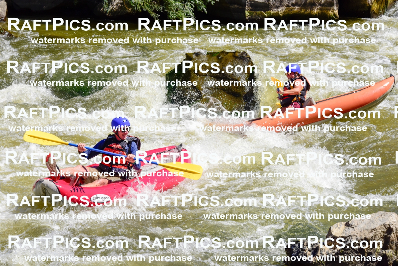 001509-July-9_NEW-WAVE_RAFT-Pics_Racecourse-AM_LA_FUNYAKS-ELIAS_LES7705