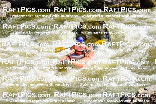 001515-July-9_NEW-WAVE_RAFT-Pics_Racecourse-AM_LA_FUNYAKS-ELIAS_LES7711