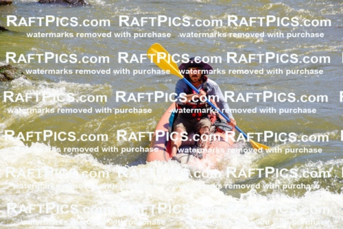 001461-July-9_NEW-WAVE_RAFT-Pics_Racecourse-AM_LA_FUNYAKS-ELIAS_LES7657