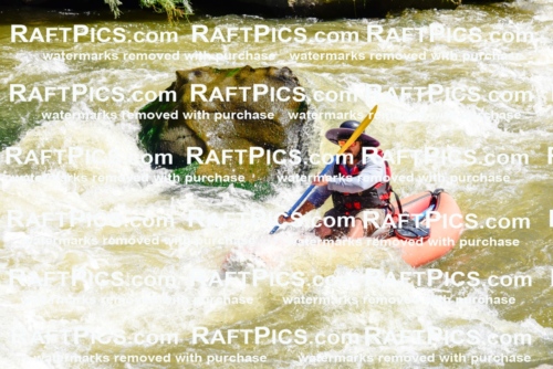 001472-July-9_NEW-WAVE_RAFT-Pics_Racecourse-AM_LA_FUNYAKS-ELIAS_LES7668