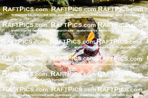 001474-July-9_NEW-WAVE_RAFT-Pics_Racecourse-AM_LA_FUNYAKS-ELIAS_LES7670