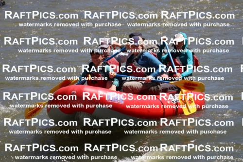 000197_July-9_Los-Rios_RAFT-Pics_Racecourse-AM_BS_Zac