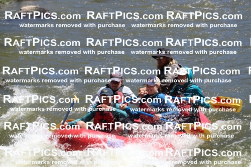 000199_July-9_Los-Rios_RAFT-Pics_Racecourse-AM_BS_Zac