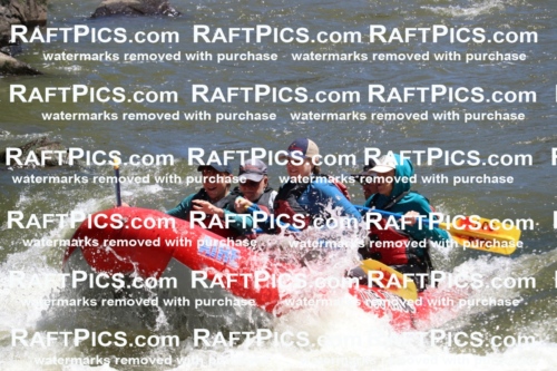 000201_July-9_Los-Rios_RAFT-Pics_Racecourse-AM_BS_Zac