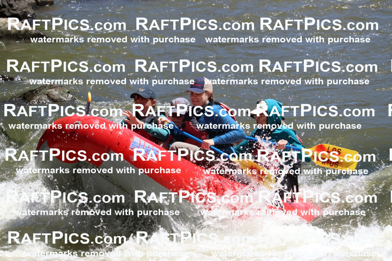 000202_July-9_Los-Rios_RAFT-Pics_Racecourse-AM_BS_Zac