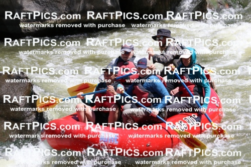 000205_July-9_Los-Rios_RAFT-Pics_Racecourse-AM_BS_Zac