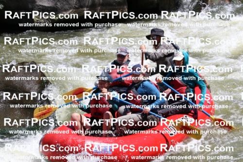 000206_July-9_Los-Rios_RAFT-Pics_Racecourse-AM_BS_Zac