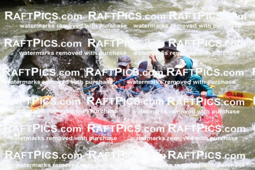 000209_July-9_Los-Rios_RAFT-Pics_Racecourse-AM_BS_Zac