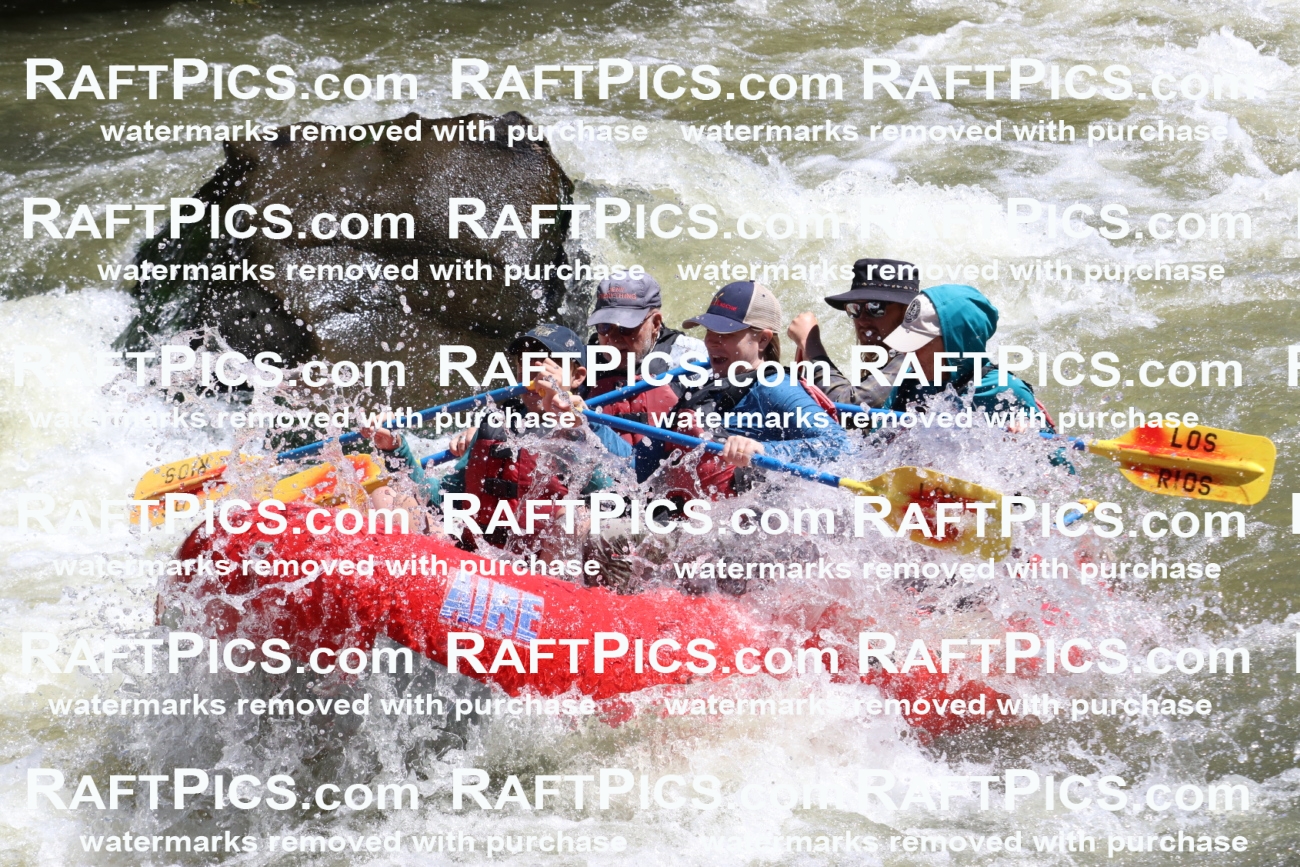 000210_July-9_Los-Rios_RAFT-Pics_Racecourse-AM_BS_Zac