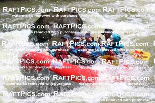 000211_July-9_Los-Rios_RAFT-Pics_Racecourse-AM_BS_Zac