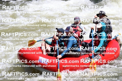 000212_July-9_Los-Rios_RAFT-Pics_Racecourse-AM_BS_Zac