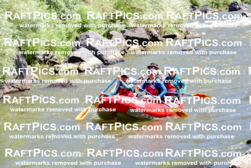 001580-July-9_LOS-RIOS_RAFT-Pics_Racecourse-AM_LA_ZACK_LES7845