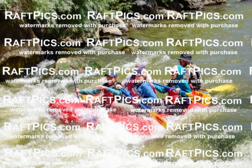 001587-July-9_LOS-RIOS_RAFT-Pics_Racecourse-AM_LA_ZACK_LES7852