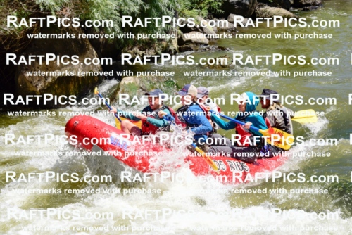 001588-July-9_LOS-RIOS_RAFT-Pics_Racecourse-AM_LA_ZACK_LES7853