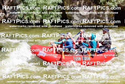 001593-July-9_LOS-RIOS_RAFT-Pics_Racecourse-AM_LA_ZACK_LES7858