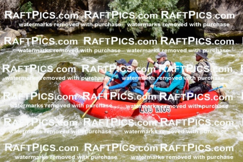 001594-July-9_LOS-RIOS_RAFT-Pics_Racecourse-AM_LA_ZACK_LES7859