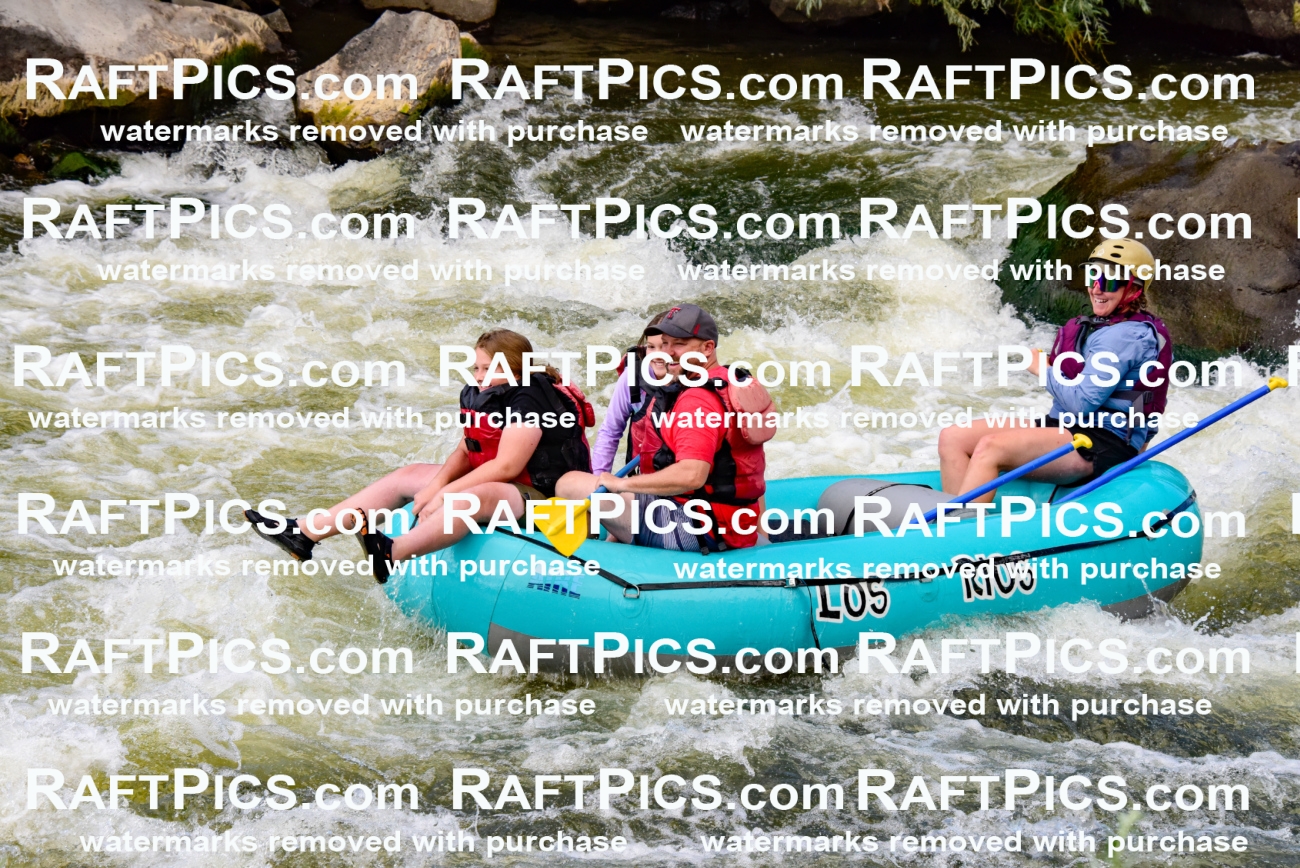 001852_July-9_Los-Rios_RAFT-Pics_Racecourse-PM_LA_Emily__LES8104