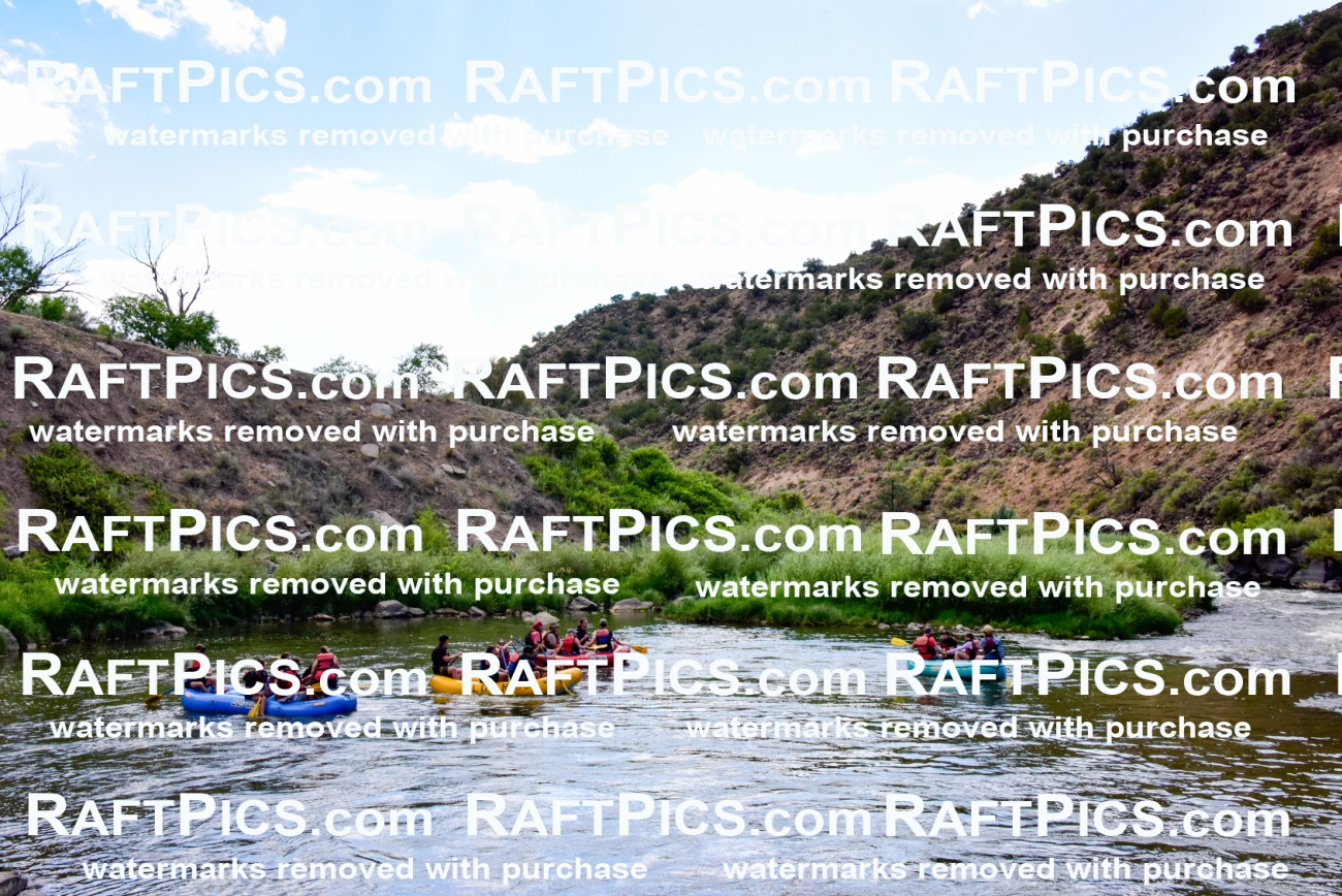 001854_July-9_Los-Rios_RAFT-Pics_Racecourse-PM_LA_Emily__LES8139