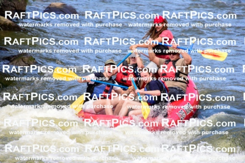 001795_July-9_Los-Rios_RAFT-Pics_Racecourse-PM_LA_Brodie__LES8048