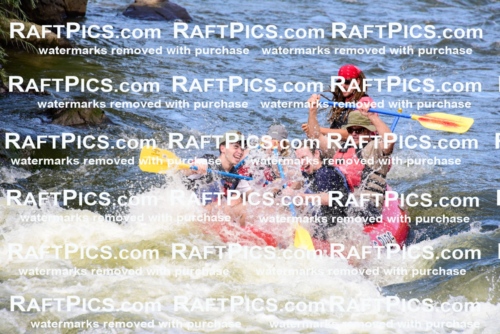 001796_July-9_Los-Rios_RAFT-Pics_Racecourse-PM_LA_Brodie__LES8049