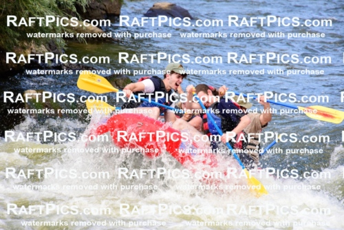 001799_July-9_Los-Rios_RAFT-Pics_Racecourse-PM_LA_Brodie__LES8052