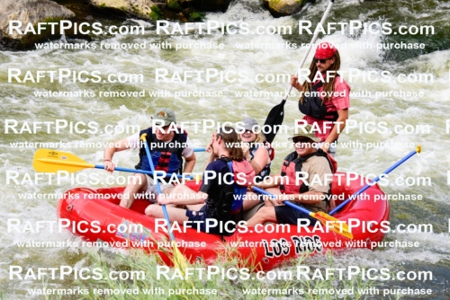 001822_July-9_Los-Rios_RAFT-Pics_Racecourse-PM_LA_Brodie__LES8075