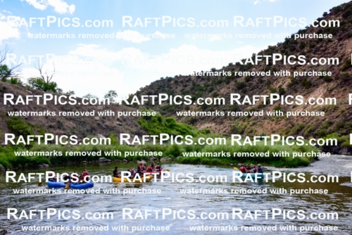 001823_July-9_Los-Rios_RAFT-Pics_Racecourse-PM_LA_Brodie__LES8139