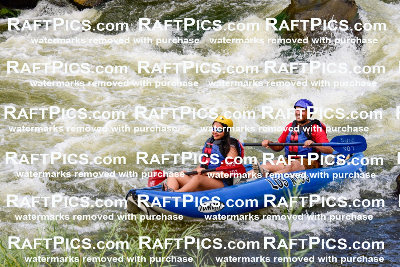 001874_July-9_Los-Rios_RAFT-Pics_Racecourse-PM_LA_Funyak__LES8017