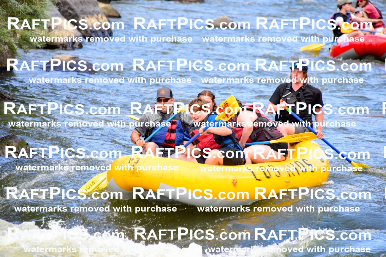 001877_July-9_Los-Rios_RAFT-Pics_Racecourse-PM_LA_Jackson__LES8019