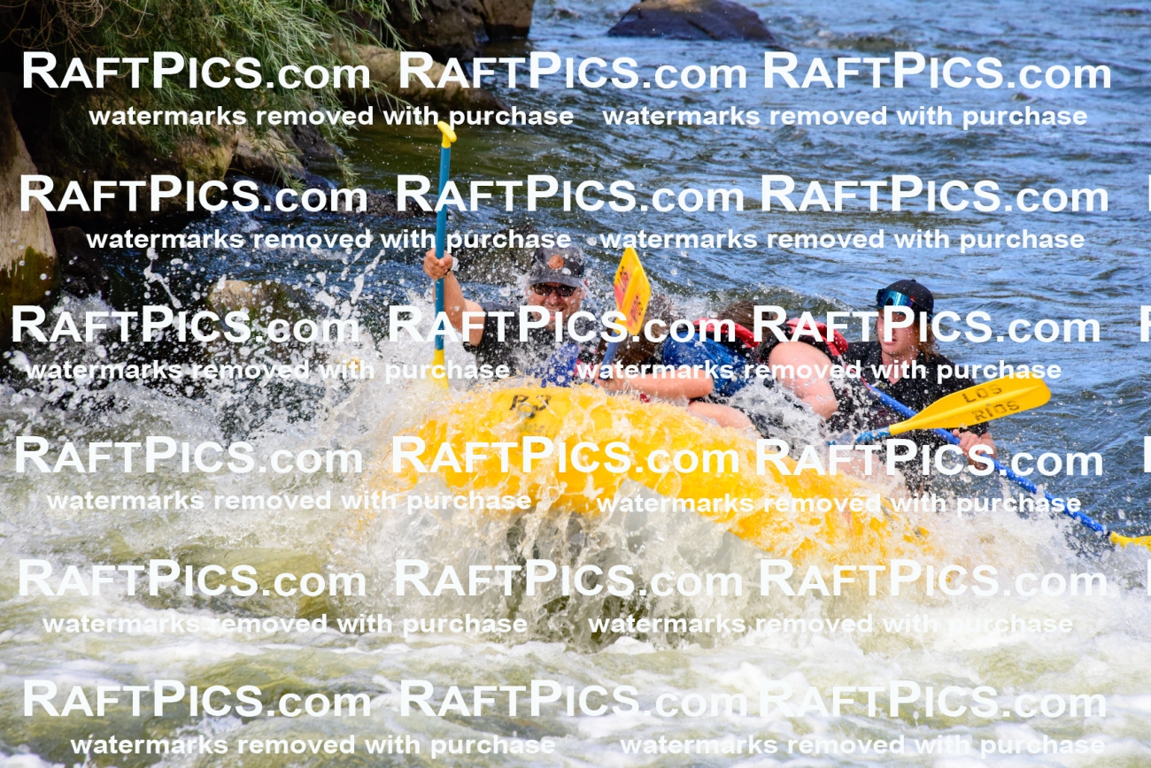 001882_July-9_Los-Rios_RAFT-Pics_Racecourse-PM_LA_Jackson__LES8024