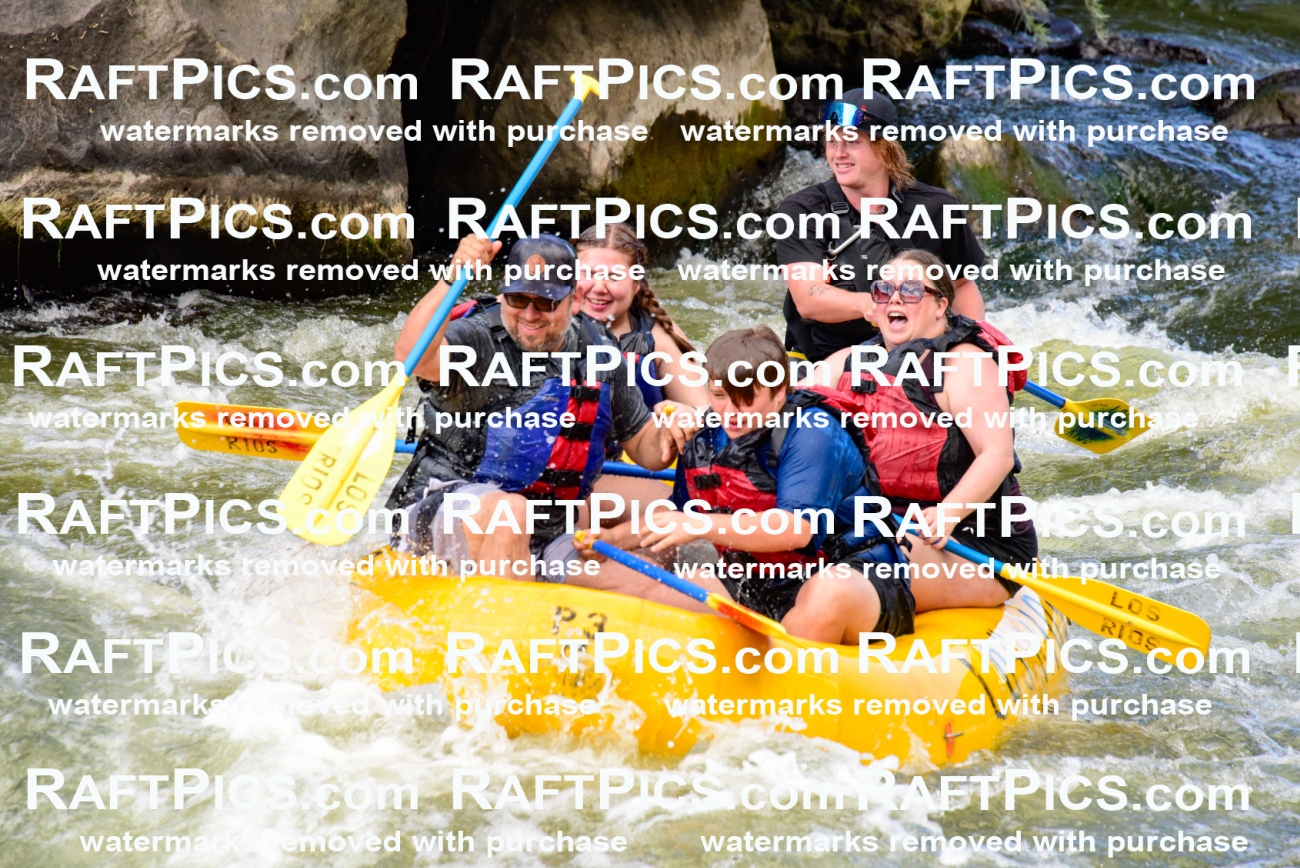 001890_July-9_Los-Rios_RAFT-Pics_Racecourse-PM_LA_Jackson__LES8032