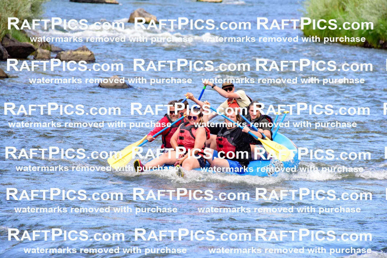 001905_July-9_Los-Rios_RAFT-Pics_Racecourse-PM_LA_Toby__LES8106