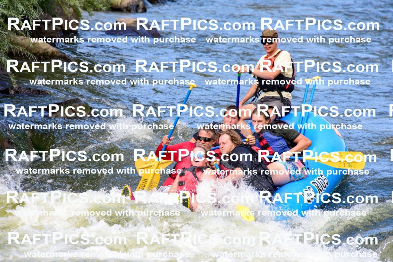 001909_July-9_Los-Rios_RAFT-Pics_Racecourse-PM_LA_Toby__LES8110