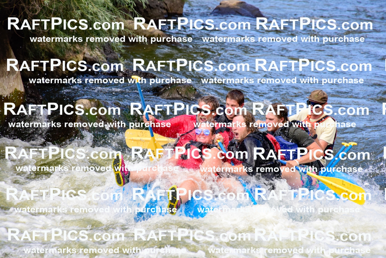 001913_July-9_Los-Rios_RAFT-Pics_Racecourse-PM_LA_Toby__LES8114