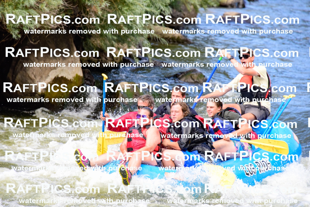 001916_July-9_Los-Rios_RAFT-Pics_Racecourse-PM_LA_Toby__LES8117