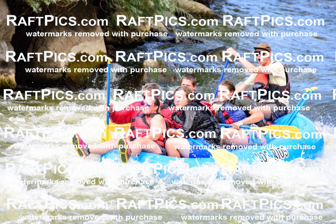 001917_July-9_Los-Rios_RAFT-Pics_Racecourse-PM_LA_Toby__LES8118