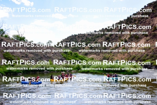 001938_July-9_Los-Rios_RAFT-Pics_Racecourse-PM_LA_Toby__LES8139