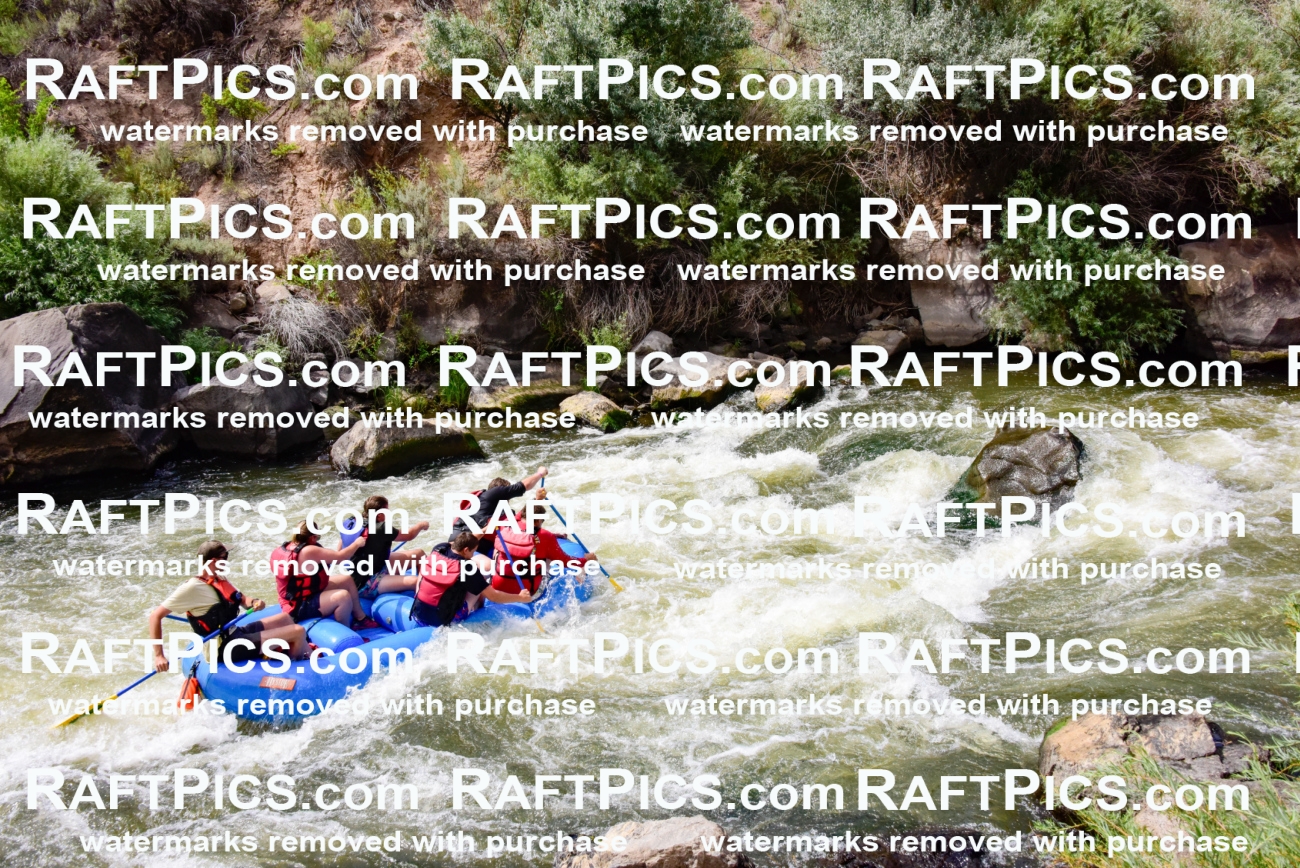 001939_July-9_Los-Rios_RAFT-Pics_Racecourse-PM_LA_Toby__LES8140