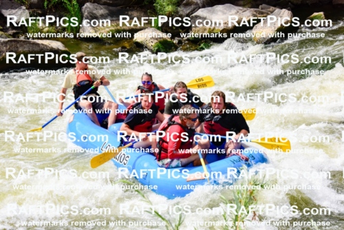 001941_July-9_Los-Rios_RAFT-Pics_Racecourse-PM_LA_Toby__LES8142