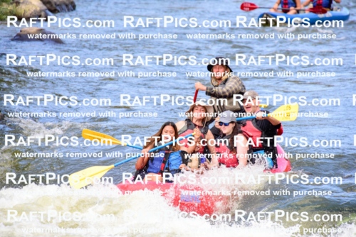 001946_July-9_Los-Rios_RAFT-Pics_Racecourse-PM_LA_Zack__LES7976