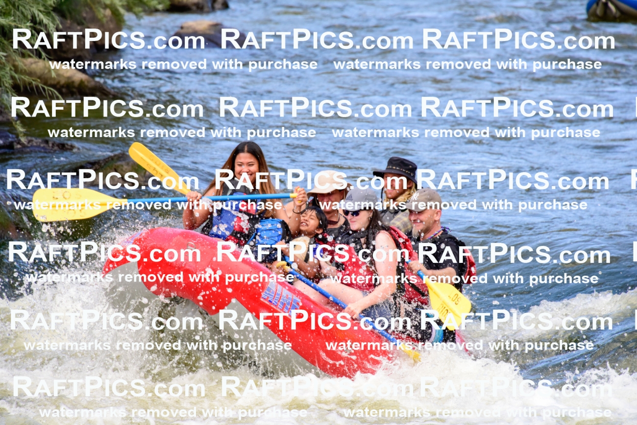 001950_July-9_Los-Rios_RAFT-Pics_Racecourse-PM_LA_Zack__LES7980