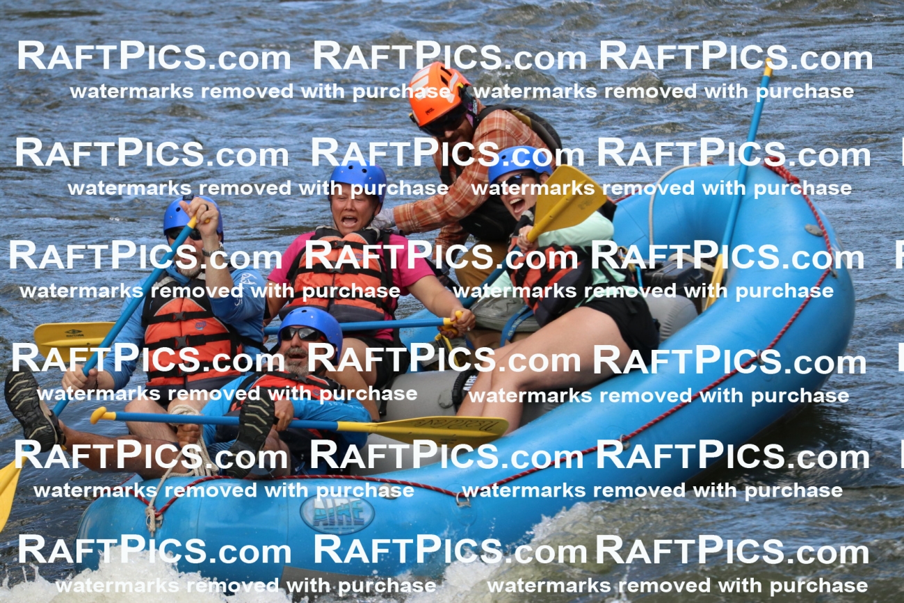 000345_July-9_New-Wave_RAFT-Pics_Racecourse-PM_BS_Ben