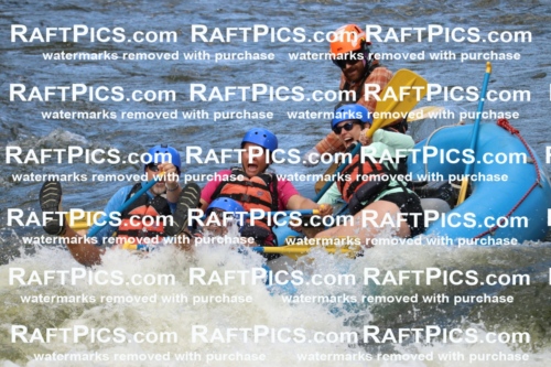 000348_July-9_New-Wave_RAFT-Pics_Racecourse-PM_BS_Ben