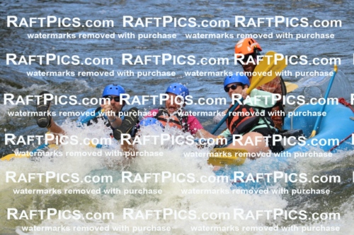 000349_July-9_New-Wave_RAFT-Pics_Racecourse-PM_BS_Ben