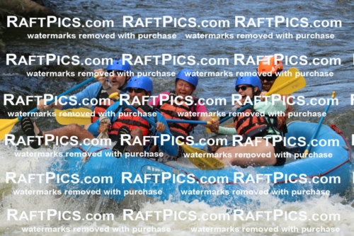 000352_July-9_New-Wave_RAFT-Pics_Racecourse-PM_BS_Ben