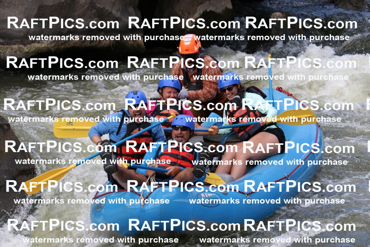 000355_July-9_New-Wave_RAFT-Pics_Racecourse-PM_BS_Ben